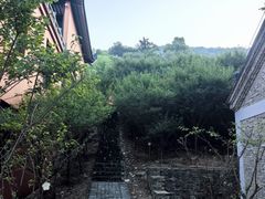 -句容茅山景区