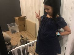 -百好乐宠物友好餐厅(朝外大街店)