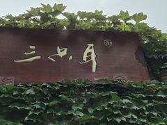 -三只耳火锅(宽窄巷子店)