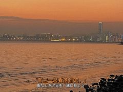 -深圳湾公园(南山区)