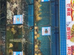 -范饭椰林川湘味海鲜·椰子鸡(三亚湾椰梦长廊店)