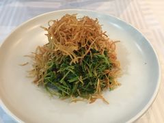 巧拌豆苗-四季民福烤鸭店(王府井灯市口店)