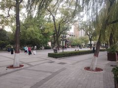 -文瀛公园