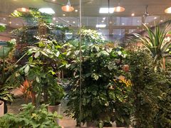 -双季花艺园艺市场(浦东店)