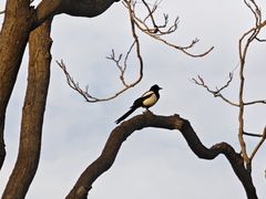 -后海公园