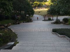 -火炉山森林公园