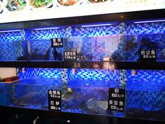 -莲花公园煎蟹(总店)
