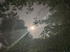 -西部马华清真兰州牛肉面·烧烤夜市(关东店)