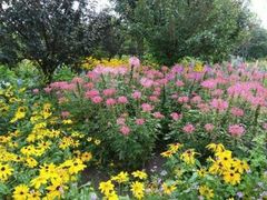 -长春公园(普阳街道)