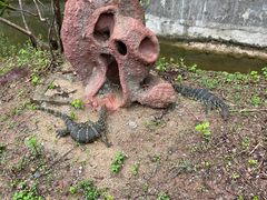 -野象谷景区