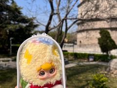 -兴隆文化园景区-兖州博物馆