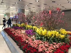 -翡翠拉面小笼包(机场DFS店)