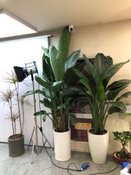 -DX HAIR SALON·发现未知美发沙龙