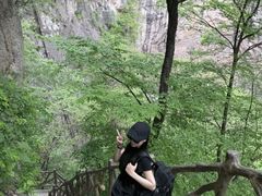 -洛阳白云山景区