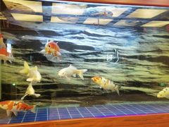 -悠然湯·汗蒸汤泉会馆