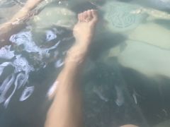 -宁海森林温泉