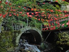 -藏龙百瀑风景区