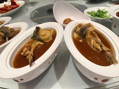 河豚鱼-席家花园(巨鹿花园店)