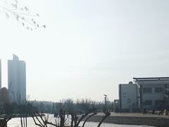 -绿岛公园(滨海新区)