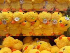 -汤姆熊欢乐世界(正大店)
