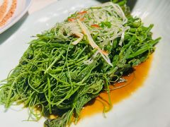 -四世同堂·京菜·烤鸭(双井店)
