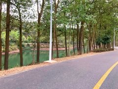 -红花湖景区