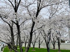 -龙美术馆西岸馆-停车场