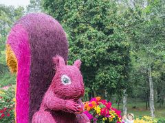 -广州市白云山风景名胜区