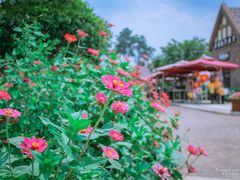 -保利石象湖景区