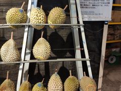 -都念榴莲·城市榴莲