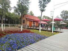 -艾溪湖湿地公园