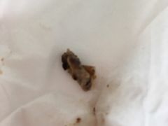 -星巴克(成都机场T2店)