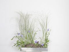 -荷兰布尔玛国际花艺学院