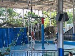 -泉州海丝野生动物世界