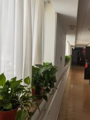 点击看大图 -雪绒花月子会所(祥盛店)