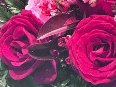 -一品淮扬 · 淮扬菜·北京万达文华酒店