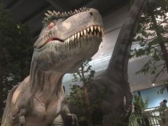 -湖南省地质博物馆