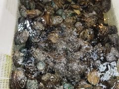 -金龙渔港(双楠店)