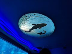 -上海海昌海洋公园