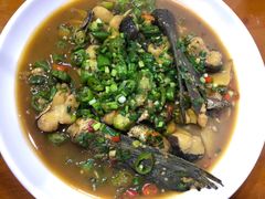 -全乐鱼馆·淳牌有机鱼直营店