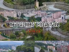 -福道