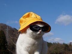 -CGV影城(源著IMAX店)