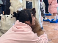 -Let's go狗咖·猫咖·奶狗·桌游(春熙路IFS店)