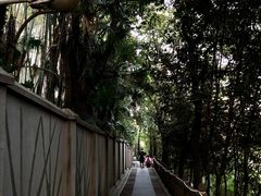 -上海佘山国家森林公园西佘山园