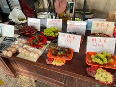 -马陆小张葡萄园农家乐