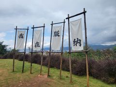 -西双版纳勐泐文化旅游区