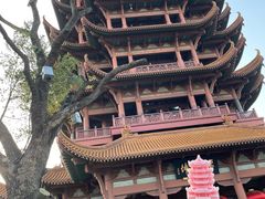 -黄鹤楼公园(黄鹤楼)