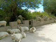 -白草畔自然风景区