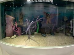 -中国第四纪冰川遗迹陈列馆