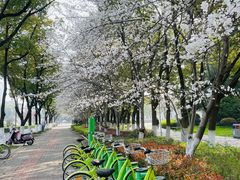 -玉山公园
